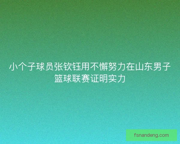 小个子球员张钦钰用不懈努力在山东男子篮球联赛证明实力